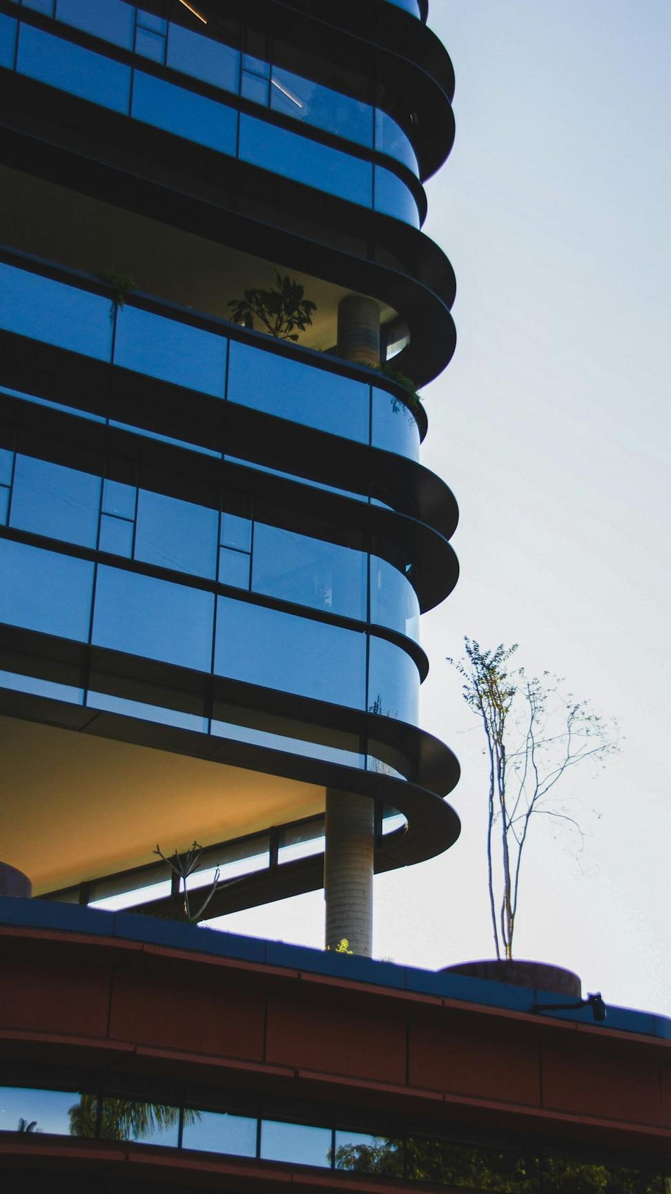 Contemporary Architecture