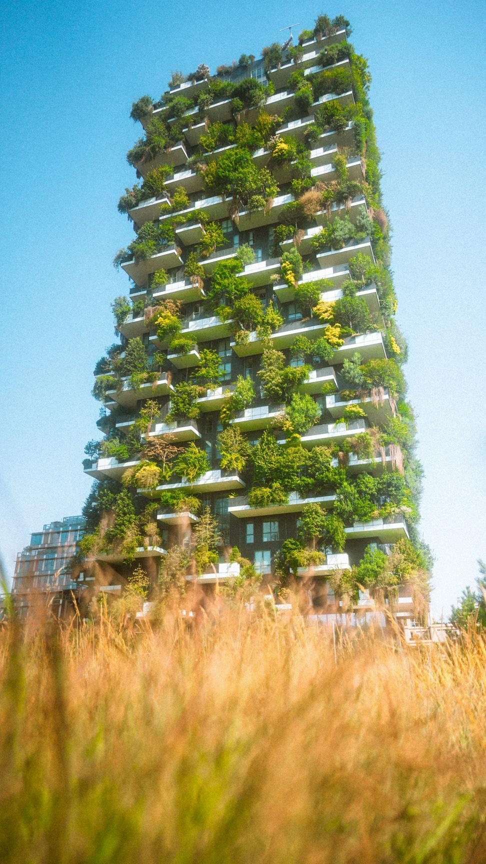 Rosedale Eco-Home